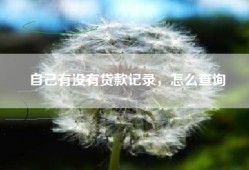 自己有没有贷款记录，怎么查询