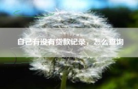 自己有没有贷款记录，怎么查询