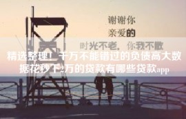 精选整理！千万不能错过的负债高大数据花秒下2万的贷款有哪些贷款app