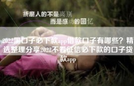 2022黑口子必下款app借款口子有哪些？精选整理分享2022不看征信必下款的口子贷款app