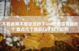 不看逾期不看征信秒下5000的网贷有哪些？盘点几个借款口子好下款的