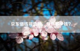 京东借钱可靠吗，最低多少钱？