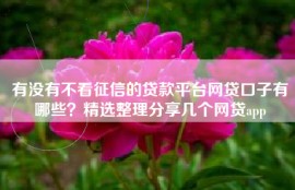 有没有不看征信的贷款平台网贷口子有哪些？精选整理分享几个网贷app