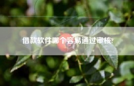 借款软件哪个容易通过审核?