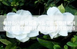 有什么小额贷款是什么平台能快速借到钱？这几个就是什么平台能快速借到钱
