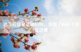 达飞云贷是正规的吗，你想了解的干货在这里