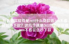 什么借款软件是2022什么贷款借2000不看征信秒下款？这几个就是2022什么贷款借2000不看征信秒下款