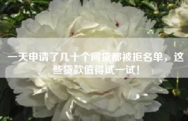 一天申请了几十个网贷都被拒名单，这些贷款值得试一试！