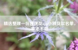 精选整理一份速速花app小额贷款名单，拿走不谢