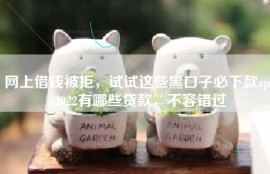网上借钱被拒，试试这些黑口子必下款app2022有哪些贷款，不容错过