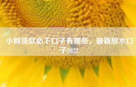 小额贷款必下口子有哪些，最新放水口子2022