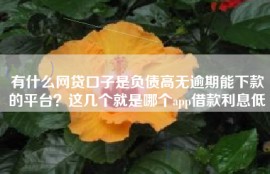 有什么网贷口子是负债高无逾期能下款的平台？这几个就是哪个app借款利息低