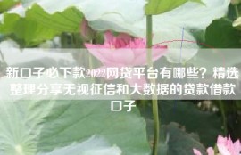 新口子必下款2022网贷平台有哪些？精选整理分享无视征信和大数据的贷款借款口子