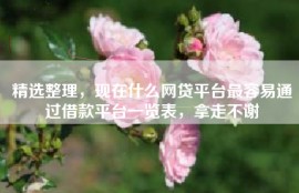 精选整理，现在什么网贷平台最容易通过借款平台一览表，拿走不谢