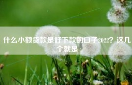 什么小额贷款是好下款的口子2022？这几个就是