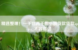 精选整理！一千到两千的小额贷款贷款app，不容错过