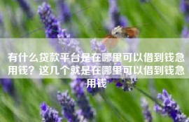 有什么贷款平台是在哪里可以借到钱急用钱？这几个就是在哪里可以借到钱急用钱