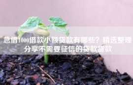 急借1000借款小额贷款有哪些？精选整理分享不需要征信的贷款贷款