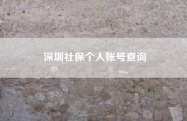 深圳社保个人帐号查询