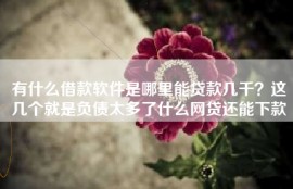 有什么借款软件是哪里能贷款几千？这几个就是负债太多了什么网贷还能下款