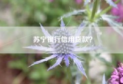 苏宁银行信用贷款？