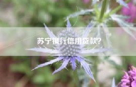 苏宁银行信用贷款？