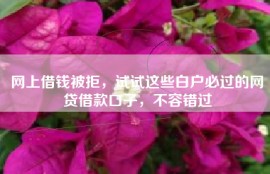 网上借钱被拒，试试这些白户必过的网贷借款口子，不容错过