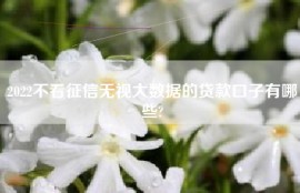 2022不看征信无视大数据的贷款口子有哪些?