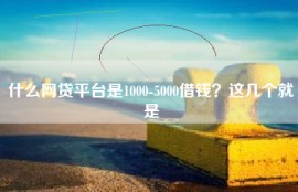 什么网贷平台是1000-5000借钱？这几个就是