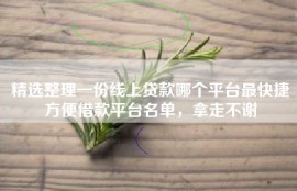精选整理一份线上贷款哪个平台最快捷方便借款平台名单，拿走不谢