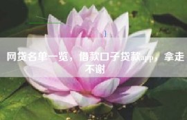 网贷名单一览，借款口子贷款app，拿走不谢