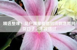精选整理！花户哪里能借到钱啊急用网贷口子，不容错过