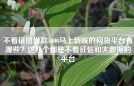 不看征信借款5000马上到账的网贷平台有哪些？这几个都是不看征信和大数据的平台