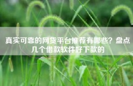 真实可靠的网贷平台推荐有哪些？盘点几个借款软件好下款的