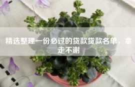 精选整理一份必过的贷款贷款名单，拿走不谢