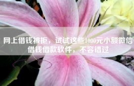 网上借钱被拒，试试这些1000元小额微信借钱借款软件，不容错过