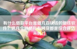 有什么借款平台是借几百块钱的借钱软件？这几个就是所有网贷都是综合评估未通过
