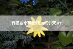 有哪些小额借钱2000的7天APP?