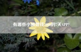 有哪些小额借钱2000的7天APP?