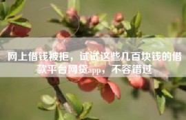 网上借钱被拒，试试这些几百块钱的借款平台网贷app，不容错过