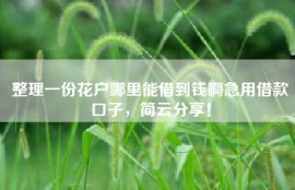 整理一份花户哪里能借到钱啊急用借款口子，简云分享！