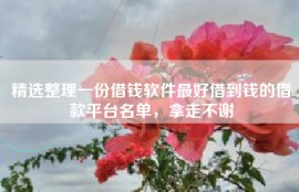 精选整理一份借钱软件最好借到钱的借款平台名单，拿走不谢