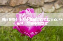 精选整理！千万不能错过的微信借钱2000元马上到账小额贷款