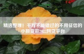 精选整理！千万不能错过的不用征信的小额贷款2022网贷平台
