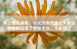 网上借钱被拒，试试这些想借个大额贷款把网贷清了借款平台，不容错过