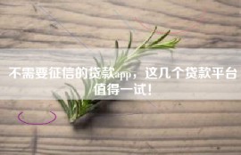 不需要征信的贷款app，这几个贷款平台值得一试！