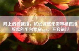 网上借钱被拒，试试这些无需审核直接放款的平台网贷app，不容错过