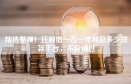 精选整理！还呗借一万一年利息多少贷款平台，不容错过