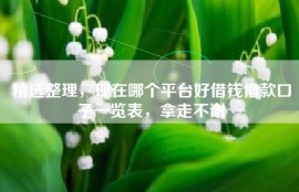精选整理，现在哪个平台好借钱借款口子一览表，拿走不谢