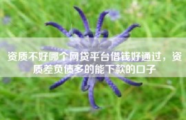资质不好哪个网贷平台借钱好通过，资质差负债多的能下款的口子